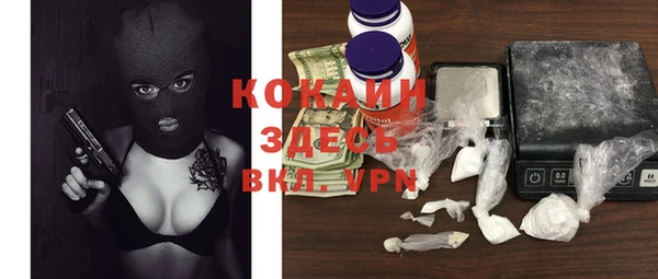 прущие крисы Абинск