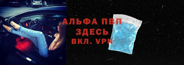 мяу мяу мука Абаза