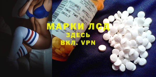 мяу мяу мука Абаза