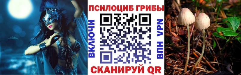Галлюциногенные грибы Cubensis Сольцы